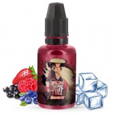 Concentré Nagashi 30ml de la marque Fighter Fuel