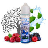 E-liquide Framboise Bleue 50ml de la marque Le Liquide